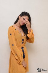 Lavanya Tripathi At Srirastu Subhamastu Movie Trailer Launch